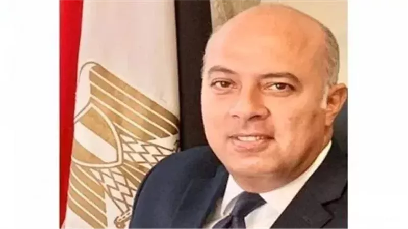 قرار جمهورى بتعيين السفير محمد الشناوى سفيراً من الفئة الممتازة