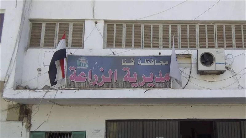 قنا 
