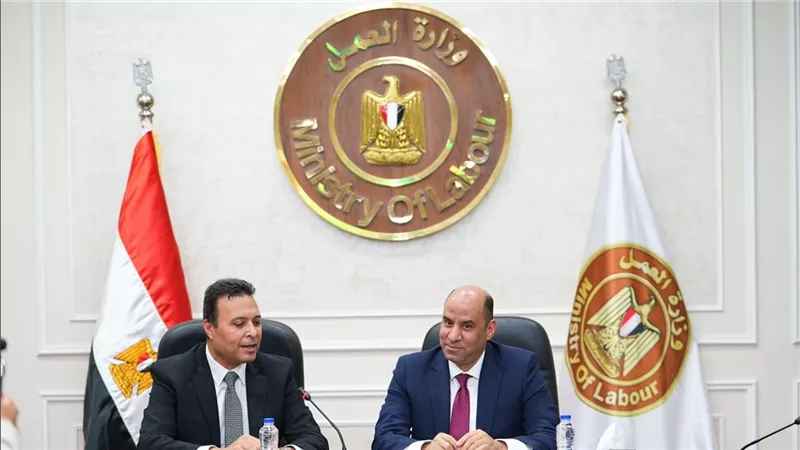 وزير العمل