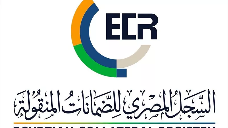 السجل المصري  للضمانات المنقولة 