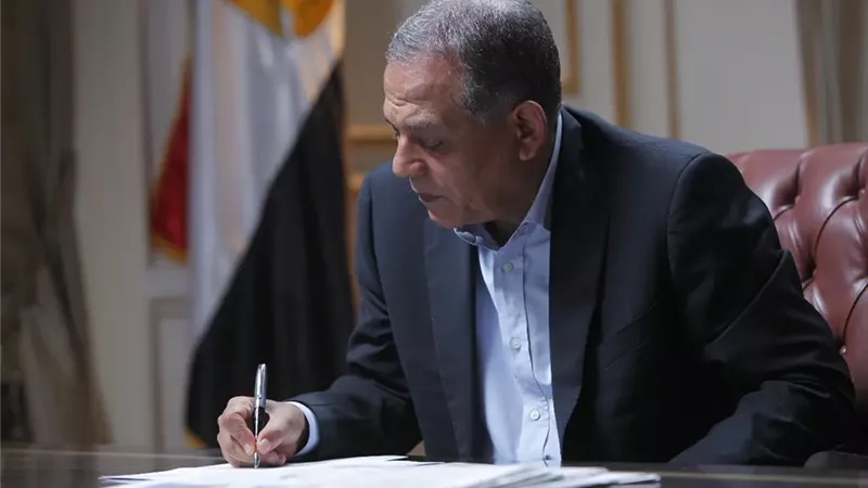 محمد أنور السادات، نائب رئيس المجلس القومي لحقوق الإنسان