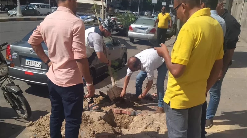 «اتحضر للأخضر».. الجيزة تكثف أعمال التشجير وزراعة الأشجار بشوارع الدقي 
