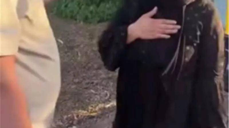 لقيامها بأعمال بلطجة.. كشف ملابسات فيديو لخلاف على أرض زراعية بالمنوفية