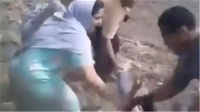 «صور يا مصطفى».. مشاجرة حامية بين أسرتين وسط تبادل الضرب بالشوم