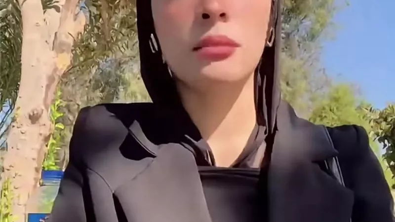 لحيازته مواد مخدرة.. تجديد حبس زوج دينا عزت 45 يوما 