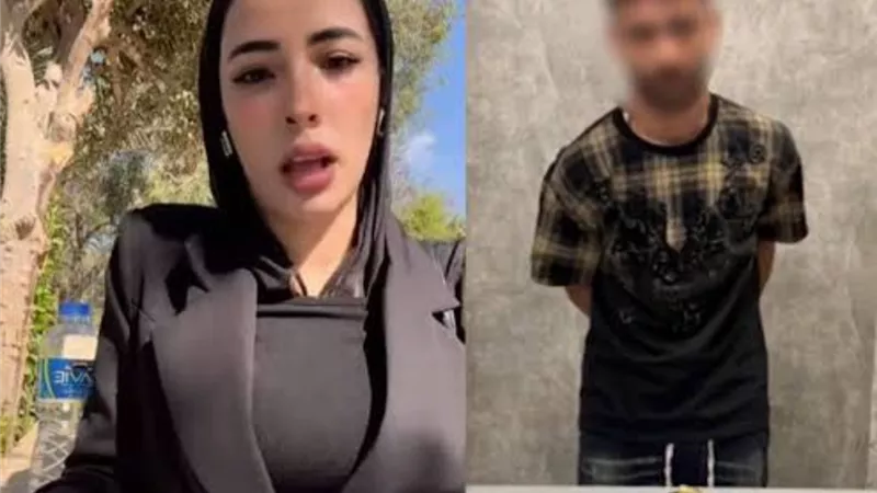 «تصرف طائش من زوجة شابة».. دفاع دينا عزت يكشف سبب نشر الفيديوهات