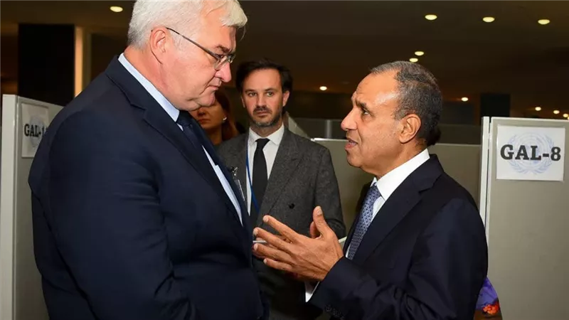 وزيرا خارجية مصر وأوكرانيا 