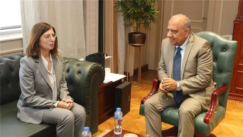وزير الكهرباء يبحث مع سفيرة قبرص دعم الربط الكهربائي وزيادة الاستثمارات