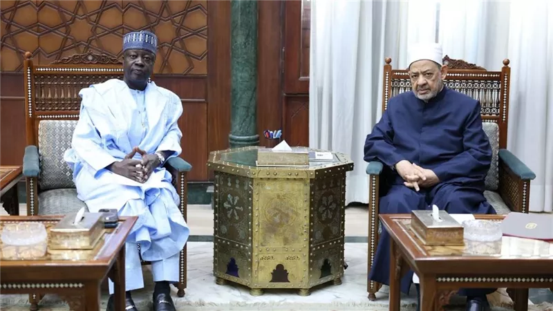 شيخ الأزهر يستقبل سفير نيجيريا لدى مصر لبحث سبل تعزيز التعاون المشترك