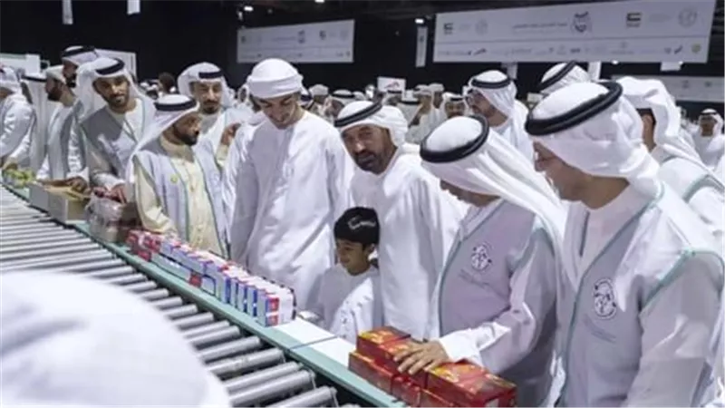 المساعدات الإماراتية 