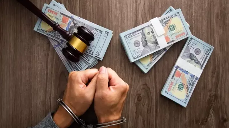 من الهجرة غير الشرعية للسيارات والشقق.. سيدة تغسل 15 مليون جنيه