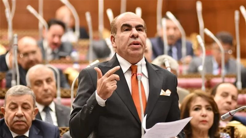 برلماني: الحصول على المعلومات حق دستوري وليس امتيازًا تمنحه الجهات الإدارية