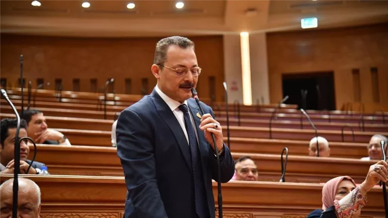 سمير صبري: تأجيل تطبيق قانون الإجراءات الجنائية ضمان للكفاءة وصون للحقوق