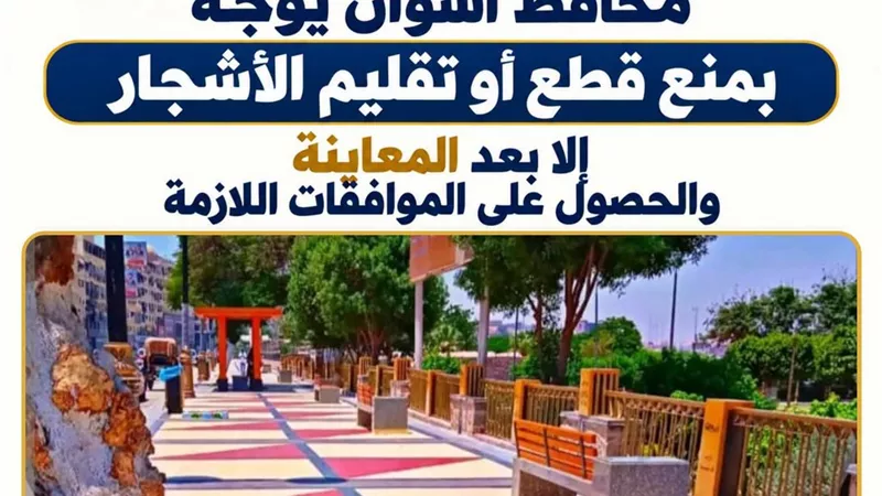 محافظ أسوان يوجه بمنع قطع أوتقليم الأشجار إلا بعد الحصول علي الموافقات اللازمة