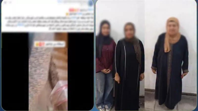 خلافات أسرية تنتهي بمشاجرة.. ضبط طرفي واقعة اعتداء بالغربية