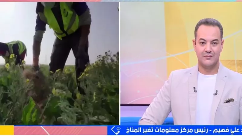 رئيس مركز تغير المناخ يكشف مخاطر ارتفاع الرطوبة على الزراعات