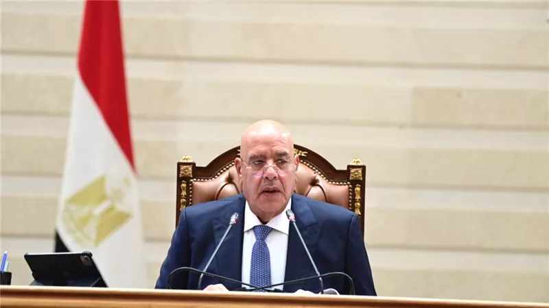 لماذا رفض البرلمان رفع الحصانة عن أحد أعضائه؟.. رئيس المجلس يوضح