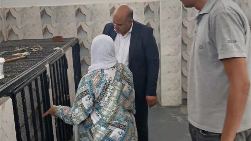 السويس تواصل برنامج التعامل مع الكلاب الحرة.. تحصين وتعقيم وفق الضوابط