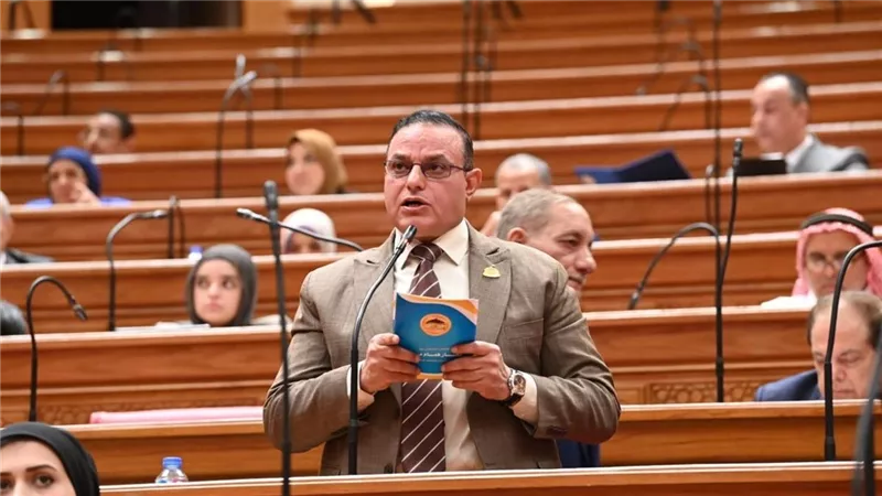النائب مختار همام