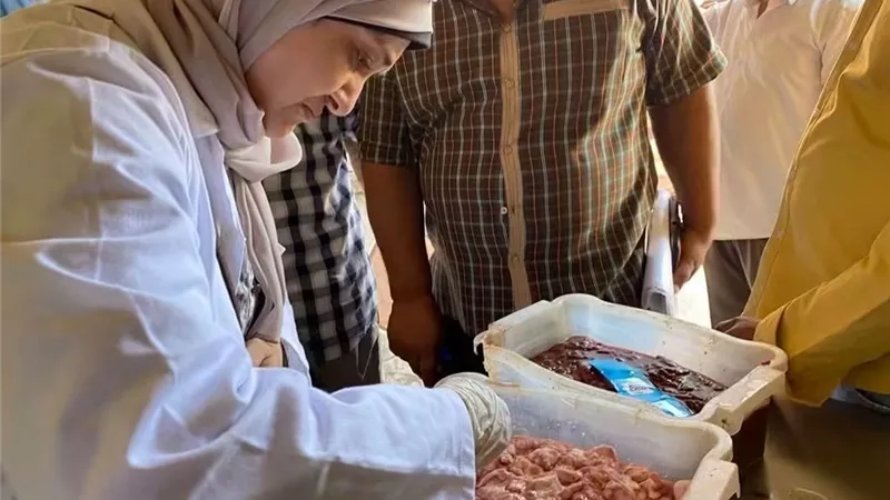 إعدام 1790 كجم من اللحوم والمنتجات المخالفة في حملات مكبرة للطب البيطري بسوهاج