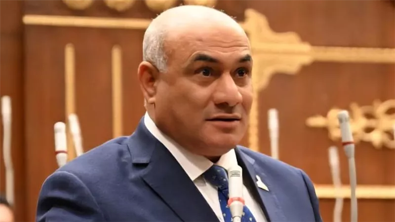 شعبان رأفت: منتدى العلمين أفريقيا يعكس قوة الدبلوماسية المصرية ودعمها للتكامل القاري