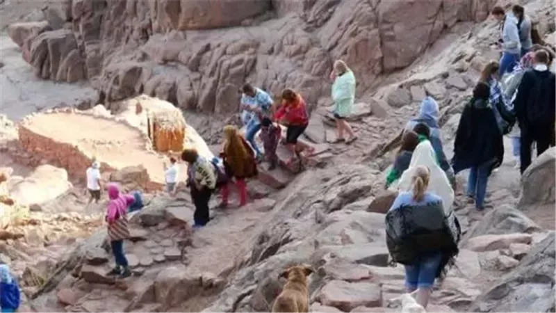 سانت كاترين تستقبل 525 سائحا وسط تزايد الحركة السياحية