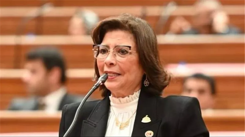 راندا مصطفى رئيسا لـ«تضامن النواب».. وشيرين عليش وأحمد فتحي وكيلين