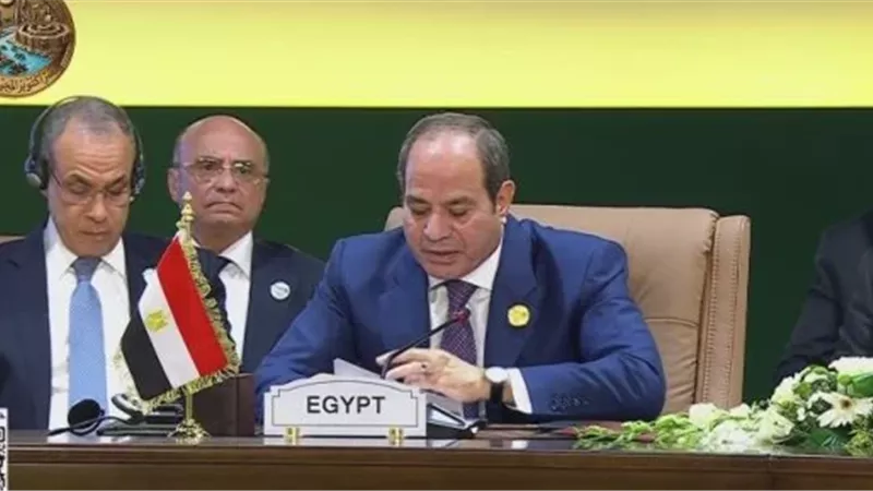 الرئيس عبدالفتاح السيسي : التكامل الإفريقي ضرورة ملحة