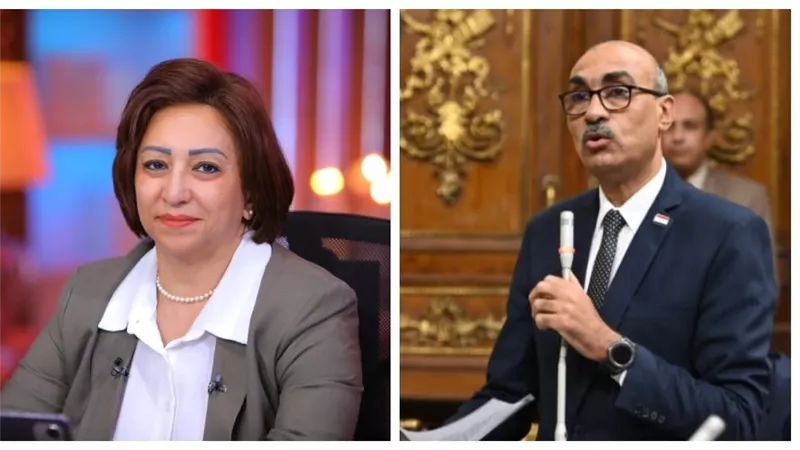 مها عبدالناصر وكيلا للاتصالات وإيهاب منصور وكيلا للقوى العاملة بمجلس النواب