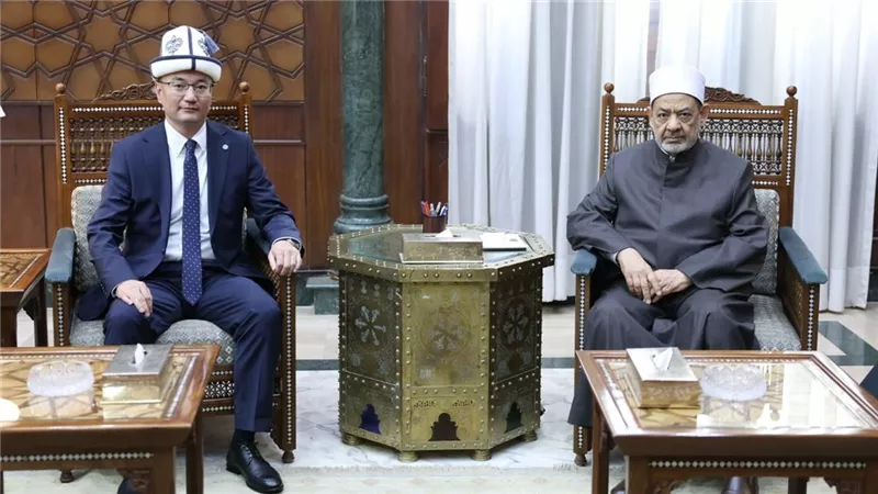شيخ الأزهر يبحث مع سفير قيرغيزستان تعزيز الدعم التعليمي والدعوي