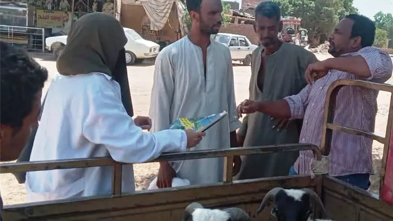 الطب البيطرى بأسوان تكثف جهود التوعية والإرشاد للحفاظ على الثروة الحيوانية