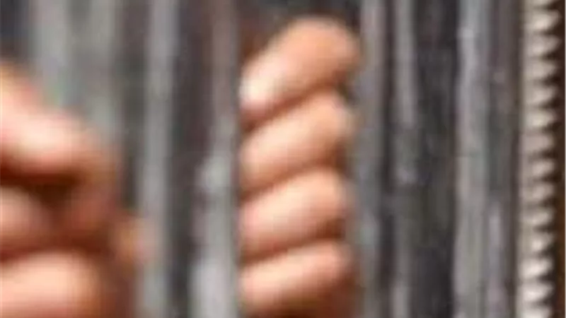 سقوط عنصر إجرامي بـ 50 طربة حشيش في قبضة مباحث المخدرات بالب