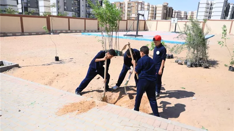 مبادرة زراعة 100مليون شجرة 