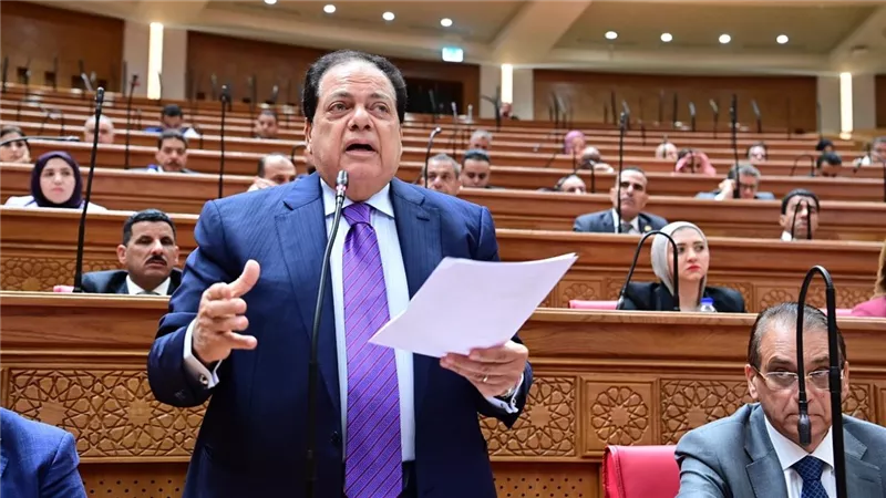 محمد أبو العينين: جولة السيسي الآسيوية تفتح أبوابًا جديدة للاستثمار في مصر