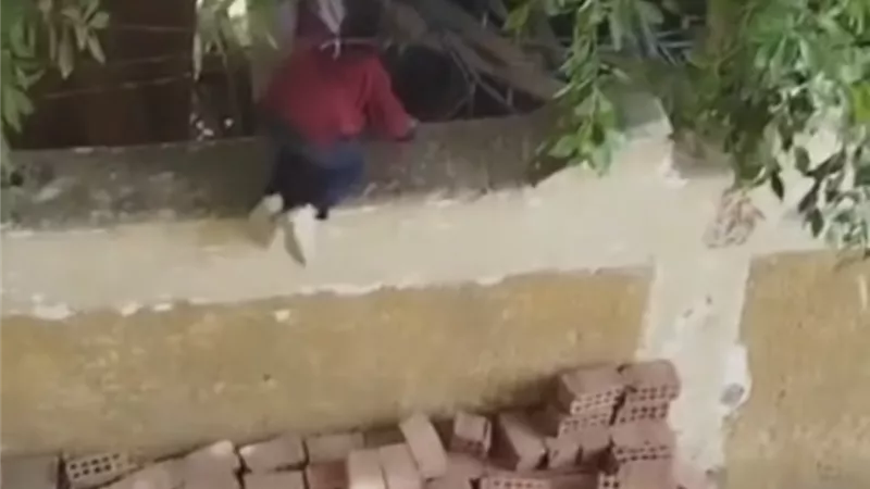 محافظ سوهاج يحيل واقعة تسلق الطلاب لسور مدرسة بساقلتة للتحقيق 
