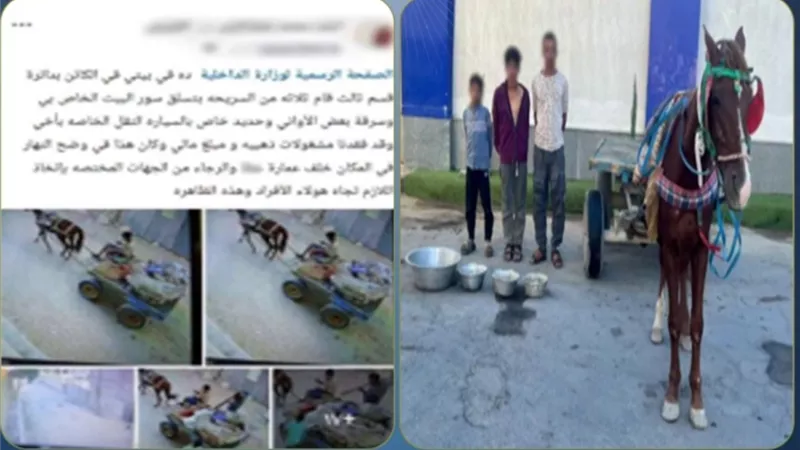 المتهمين 