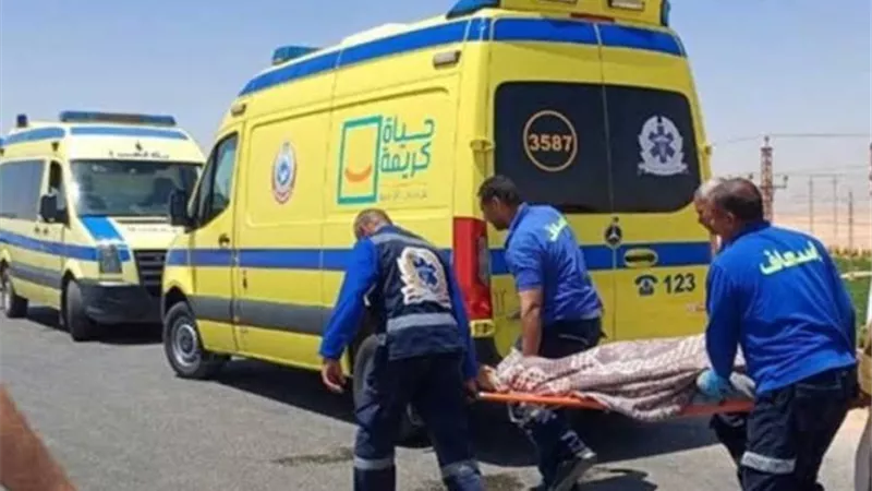 مصرع شخص صدمته سيارة  على طريق القطامية السخنة بمحافظة السويس