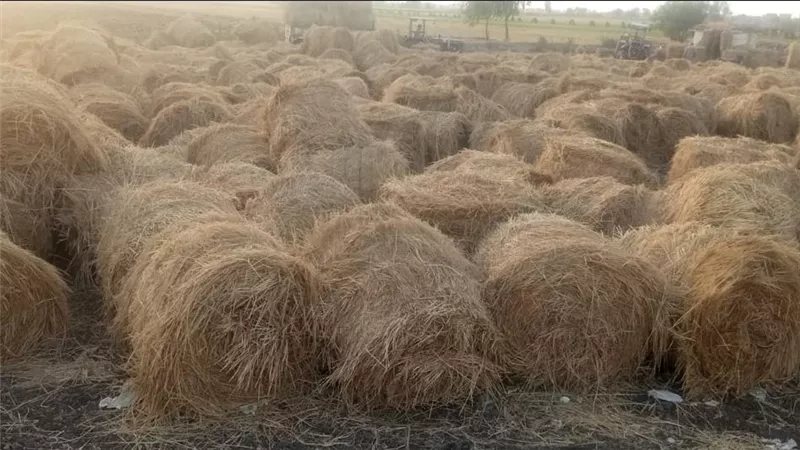 جهود وزيرة التنمية لمواجهة نوبات تلوث الهواء الحادة من 1سبتمبر ل 7اكتوبر2026