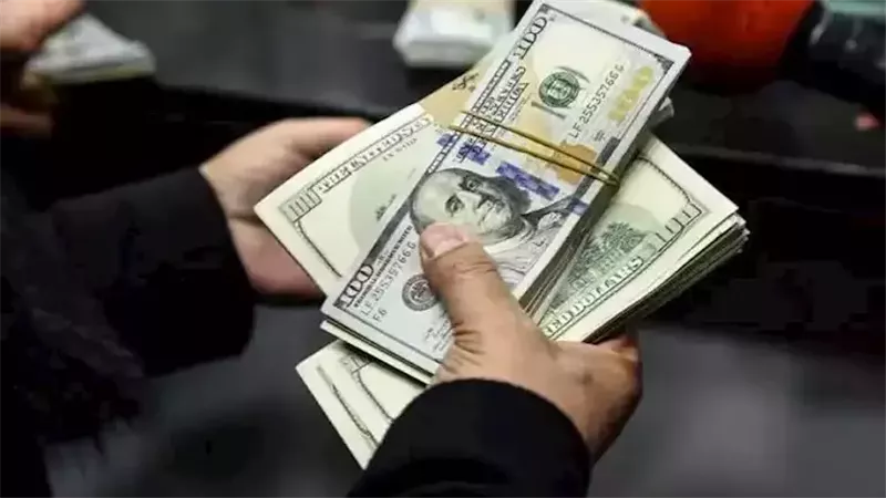 «معاشك بالدولار» للمصريين بالخارج.. المزايا التأمينية وطرق الاشتراك