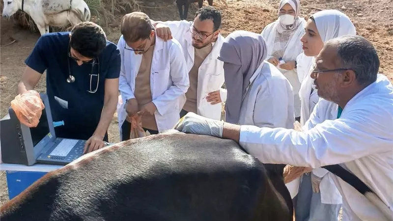 قافلة بيطرية شاملة بمنطقة أبو الريش للحفاظ على الثروة الحيوانية ودعم المربين