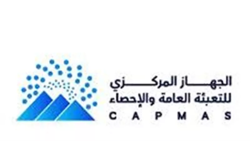 الإحصاء: 16.8% من الأسر المصرية تشترى السلع عبر الإنترنت.. والملابس فى الصدارة