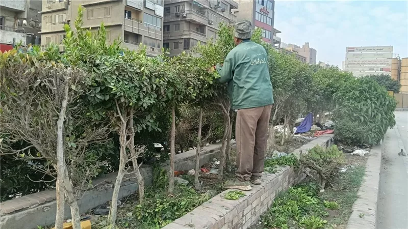 محافظ الجيزة يوجه بالتوسع في زراعة الأشجار والنباتات ضمن مبادرة «اتحضر للأخضر»