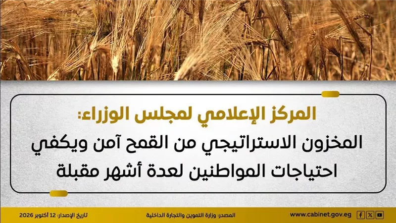 المركز الإعلامي: المخزون الاستراتيجي من القمح آمن ويكفي احتياجات المواطنين 