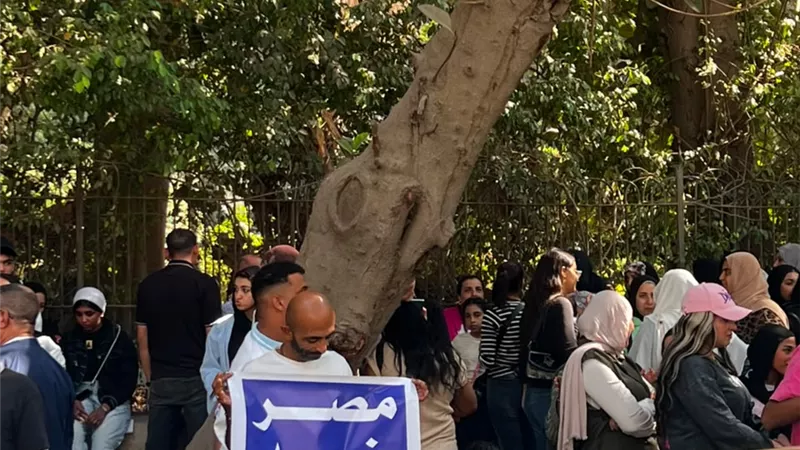 مصر ضد الإخوان.. محتجون مصريون يحتشدون أمام السفارة الهولندية للإفراج عن ناصر