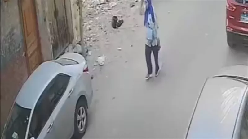 «الحقونا».. أهالي فلل الجامعة بالزقازيق يناشدون الحي بسبب كلاب الشوارع