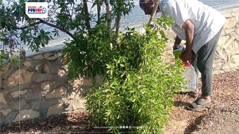 حملات للنظافة ورفع الإشغالات وتجميل الشوارع بمركزي سنورس ويوسف الصديق