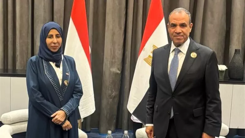 وزير الخارجية يبحث مع نظيرته اليمنية دعم الاستقرار في اليمن وأمن البحر الأحمر