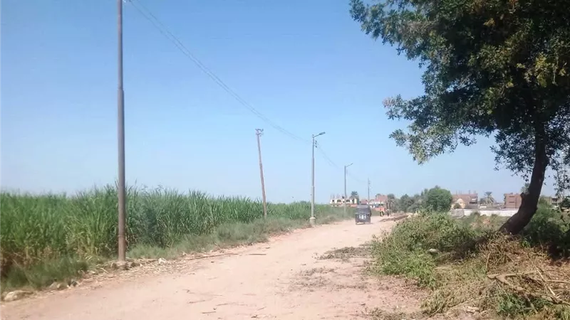 رفع كفاءة الإنارة العامة بقرية العباسية بمركز كوم أمبو
