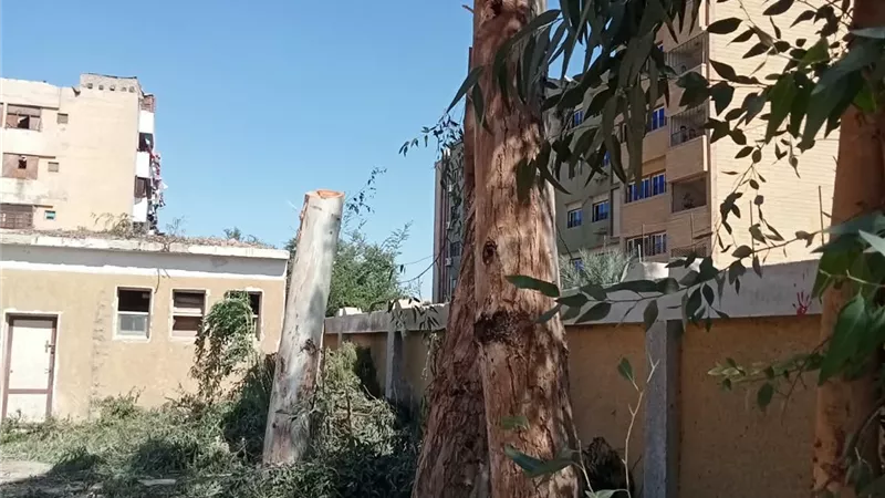 محافظ سوهاج يحيل مسؤولي مدرستين بساقلتة للتحقيق بسبب 