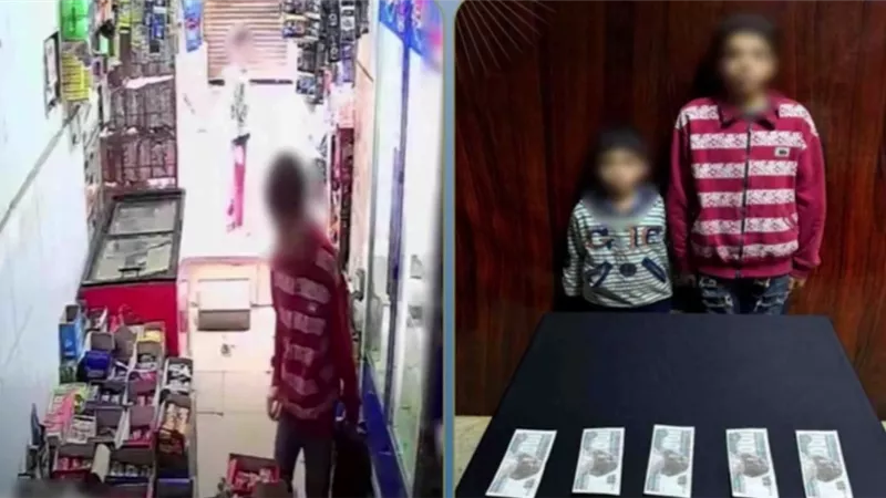 ضبط طفلين سرقا حقيبة سيدة مسنة من داخل محل تجاري في القاهرة 
